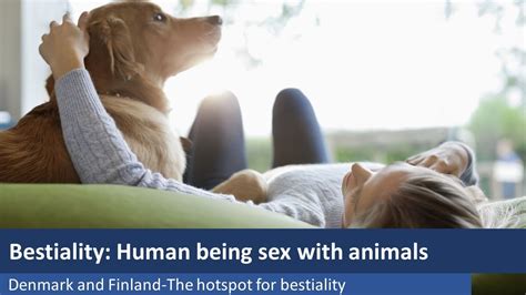 animal sex mp4|Newest Bestiality Videos